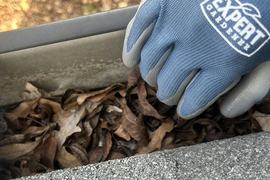 Gutter Cleaning Crystal Springs