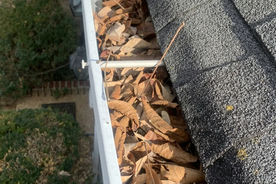 Gutter Cleaning Crystal Springs