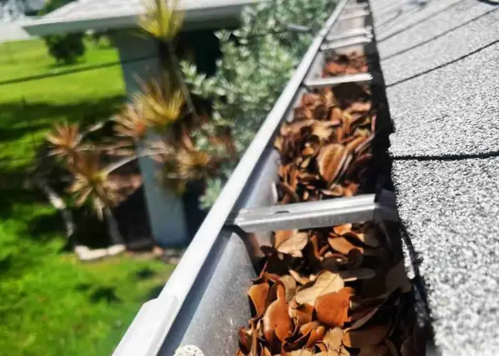 Gutter Cleaning Crystal Springs home page